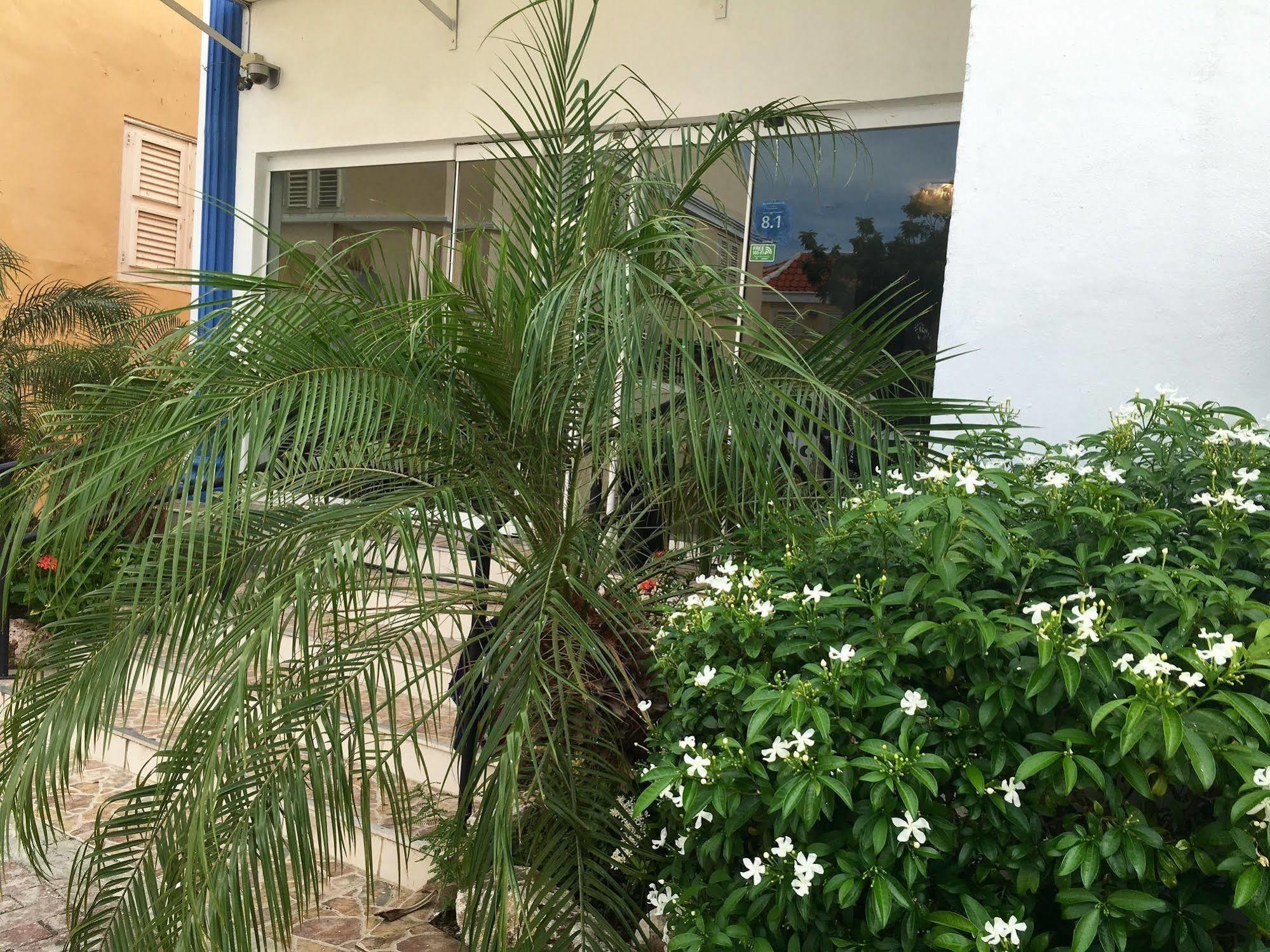 Curacao Suites Hotel Willemstad Bagian luar foto